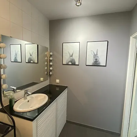 Apartment Wiatraczna *